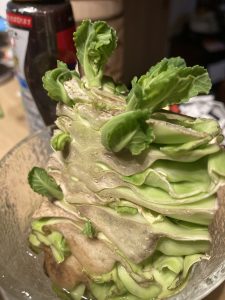 オアシスブログ